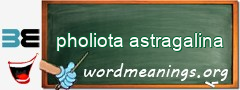 WordMeaning blackboard for pholiota astragalina